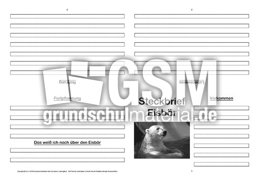 Eisbär-Faltbuch-vierseitig-10.pdf